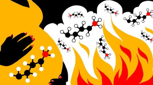 How 'Forever Chemicals' Impact Future Generations
