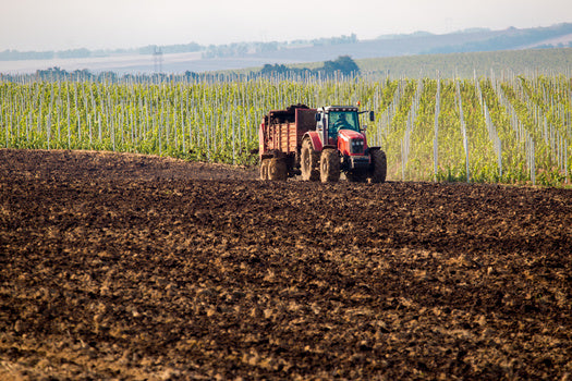 The Hidden Costs of "Green" Fertilizers: Texas Farmers Grapple with PFAS Contamination